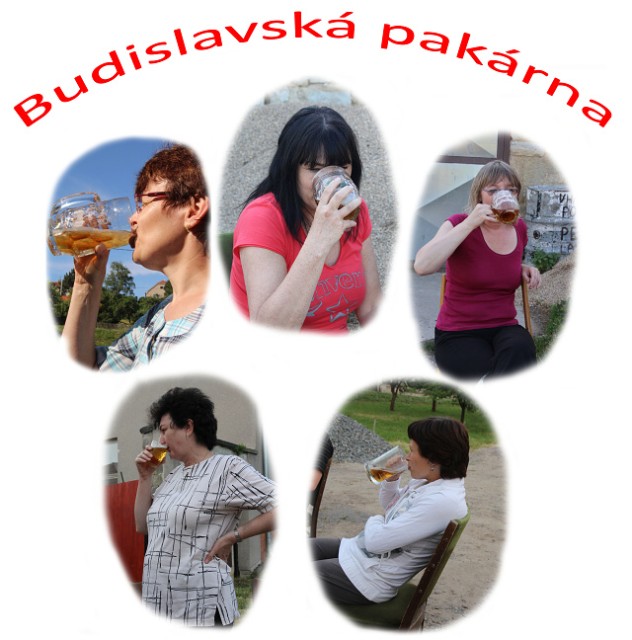 Budislav 2013 01.jpg